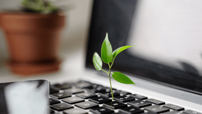 laptop with leaf