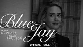 Blue Jay film still
